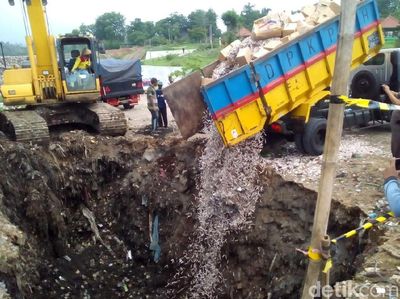 Gara-gara Ilegal, 9 Juta Batang Rokok Ditelan Bumi