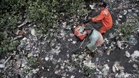 Pasukan Oranye Berjibaku Bersihkan Sampah di Hutan Mangrove