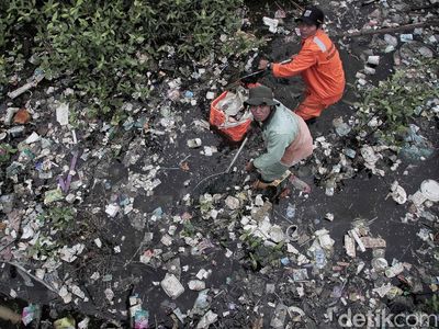 Pasukan Oranye Berjibaku Bersihkan Sampah di Hutan Mangrove