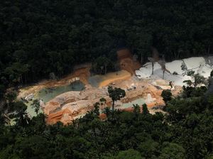 Brasil Tutup Tambang Ilegal yang Ancam Hutan Amazon