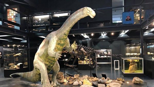 Foto: Museum untuk Penggila Mahluk Purba dan Sains