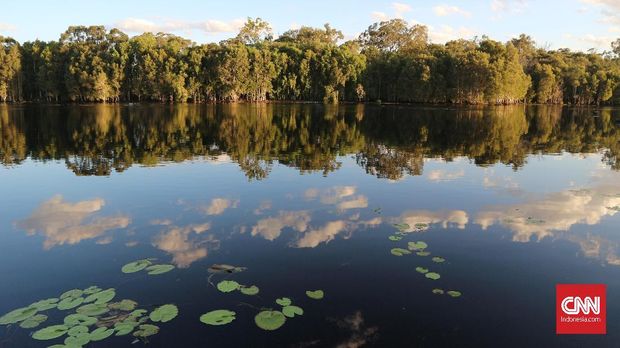 Wisata Pantai sampai Ketinggian di Queensland*