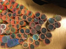 Ada-ada Saja, Penumpang Ini Bawa 70 Burung ke Pesawat