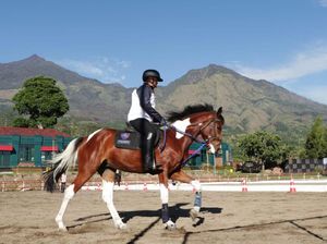 Serunya Berkuda dengan Pemandangan Gunung Arjuna di Jatim