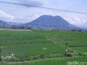 Studi: Berada Dua Jam di Tengah Alam Bisa Menyehatkan Mental Studi: Berada Dua Jam di Tengah Alam Bisa Menyehatkan Mental