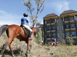 Catat Guys, Ini Rekomendasi Hotel Keren di Pasuruan