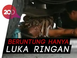 Terjatuh, Lansia Tersangkut di Bawah Truk Tronton