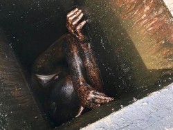 2 Hari Terperangkap di Saluran Pembuangan Minyak, Pria Ini Selamat