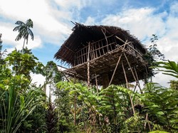 Demi Hindari Iblis, Suku Ini Masih Tinggal di Rumah Pohon