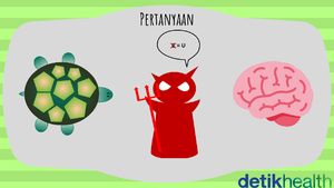 Malam-malam Masih Fokus? Tes Kecerdasan Kamu Lewat Tebak Gambar Ini