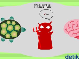 Malam-malam Masih Fokus? Tes Kecerdasan Kamu Lewat Tebak Gambar Ini