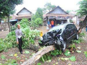 LCGC Ringsek Tabrak Pohon Jati, Sopir Selamat LCGC Ringsek Tabrak Pohon Jati, Sopir Selamat