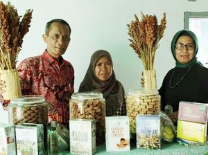 Budidaya Sorghum di NTB Ini Dikelola Lewat Skema Korporasi Petani Budidaya Sorghum di NTB Ini Dikelola Lewat Skema Korporasi Petani