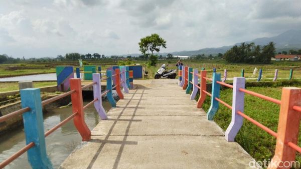 Foto: Jembatan Pelangi di Antara Sawah & Kebun Ciamis