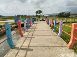Foto: Jembatan Pelangi di Antara Sawah & Kebun Ciamis