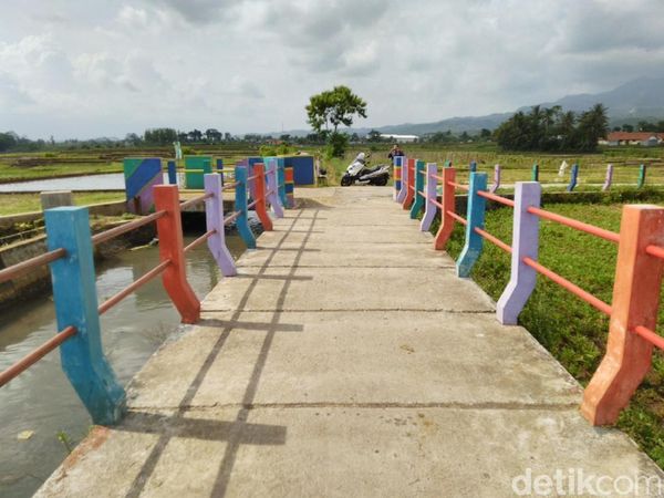 Foto: Jembatan Pelangi di Antara Sawah & Kebun Ciamis
