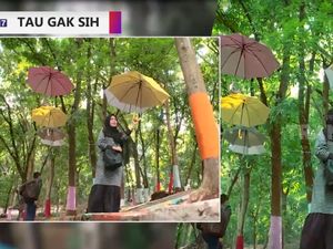 Indahnya Wisata Alam di Balik Hutan Pandeglang Indahnya Wisata Alam di Balik Hutan Pandeglang