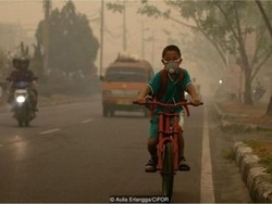 Video 15 Detik Ungkap Planet Bumi Terpanggang 60 Tahun