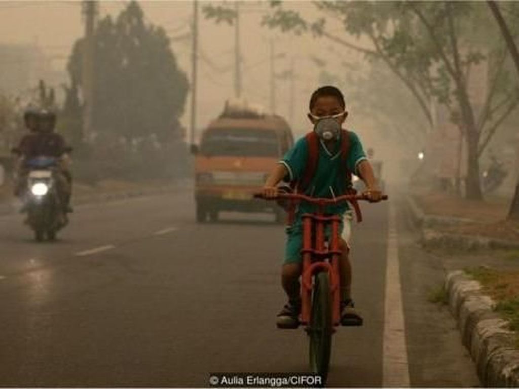 Sekjen PBB: Gagal Tangani Perubahan Iklim Sama Saja Bunuh Diri Sekjen PBB: Gagal Tangani Perubahan Iklim Sama Saja Bunuh Diri