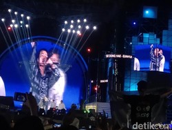 Super Junior D&E Bikin ELF Histeris di Sweet 17 Transmedia