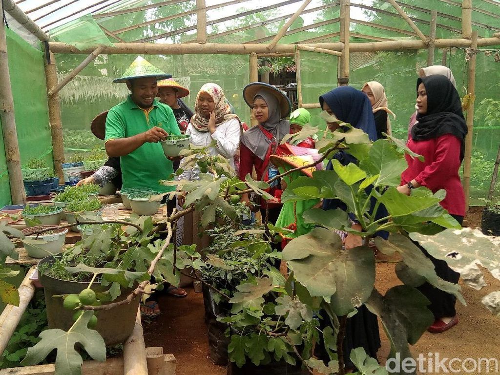 Menyatu dengan Alam di Wisata Kampung Gagot Menyatu dengan Alam di Wisata Kampung Gagot