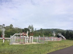 Punya Harta Karun Energi Melimpah, RI Baru Manfaatkan Secuil