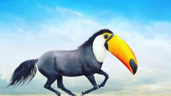 Bikin Ngakak, Begini Hasil Kawin Silang Hewan