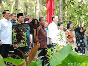 Jokowi Serahkan 91.998 Hektare SK Perhutanan Sosial di Jambi