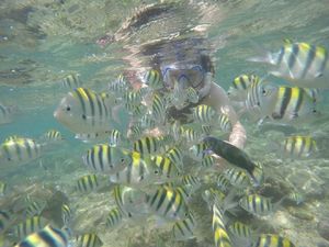 Ayo Liburan! Gunungkidul Punya 73 Km Pantai dan 725 Gua Menawan Ayo Liburan! Gunungkidul Punya 73 Km Pantai dan 725 Gua Menawan