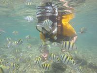 Liburan Akhir Tahun di Gunungkidul, Ayo Snorkeling di Pantai Nglambor!