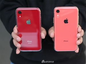 Penampakan Case Transparan iPhone XR Seharga Rp 700 Ribuan Penampakan Case Transparan iPhone XR Seharga Rp 700 Ribuan