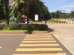Keadaan Darurat Asian Games di Balik Zebra Cross Tabrak Tanaman