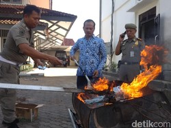 Dispendukcapil Pacitan Bakar Ribuan e-KTP Rusak