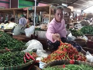 Setelah Melambung Tinggi Saat Ramadhan, Harga Cabai Diprediksi Anjlok