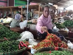 Setelah Melambung Tinggi Saat Ramadhan, Harga Cabai Diprediksi Anjlok