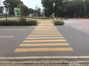 Tak Lagi Tabrak Tanaman, Ini Penampakan Zebra Cross di GBK Tak Lagi Tabrak Tanaman, Ini Penampakan Zebra Cross di GBK