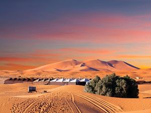 Studi Ungkap Kaum Ini Pernah Tinggal di Gurun Sahara Saat Masih Hijau 7.000 Tahun Lalu Studi Ungkap Kaum Ini Pernah Tinggal di Gurun Sahara Saat Masih Hijau 7.000 Tahun Lalu