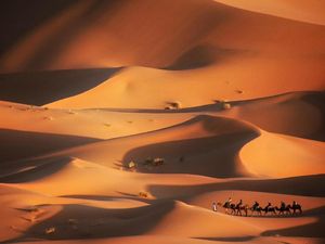 Serba Serbi Gurun Sahara yang Lagi Banyak Dicari Orang Serba Serbi Gurun Sahara yang Lagi Banyak Dicari Orang
