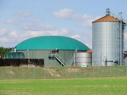 BUMN Semen Ini Pakai Bahan Bakar dari Sekam Padi hingga Bonggol Jagung