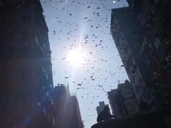 Kontroversi Hujan Duit: Tung Dasem Waringin hingga Jutawan Hong Kong