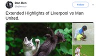 Ketidakberdayaan MU dari Liverpool dijadikan bahan lelucon. Beberapa gambar perkelahian dijadikan untuk meledek MU. (Foto: Twitter)