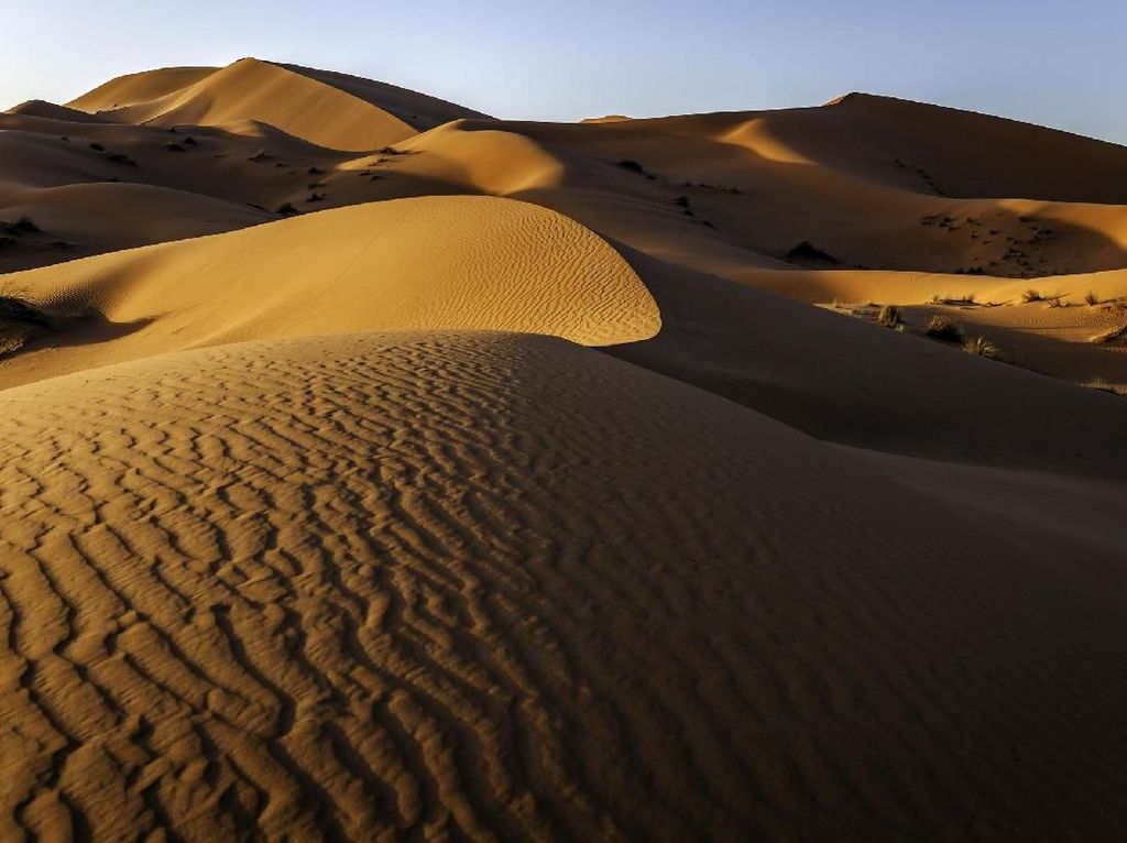 Gurun pasir terluas di afrika adalah