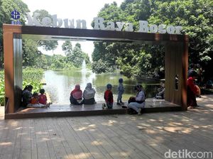 Jalan-jalan ke Kebun Raya Bogor, Apa Saja yang Menarik? Jalan-jalan ke Kebun Raya Bogor, Apa Saja yang Menarik?