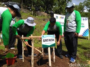 Pacitan Tanam 1.000 Pohon untuk Pulihkan Lahan