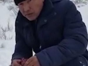 Makan Hati Serigala Mentah, Pemburu Ini Dikritik Banyak Orang Makan Hati Serigala Mentah, Pemburu Ini Dikritik Banyak Orang