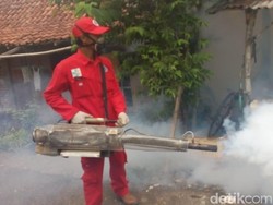 8 Orang Meninggal Dunia, Sulsel Waspada DBD