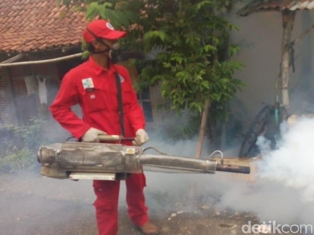 8 Orang Meninggal Dunia, Sulsel Waspada DBD 8 Orang Meninggal Dunia, Sulsel Waspada DBD