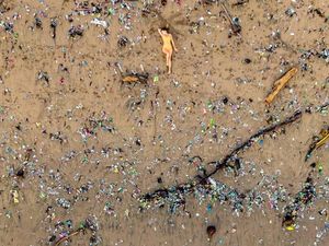 WN Inggris Ungkap Cerita di Balik Foto Viral Sampah Penuhi Pantai di Bali
