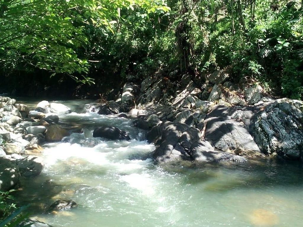 Foto: Kali Biru dari Sulawesi Barat Foto: Kali Biru dari Sulawesi Barat