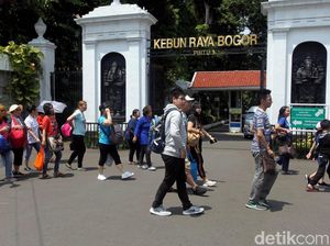 Pelaku Wisata Bogor Sambut Baik SE Boleh Lepas Masker Pelaku Wisata Bogor Sambut Baik SE Boleh Lepas Masker